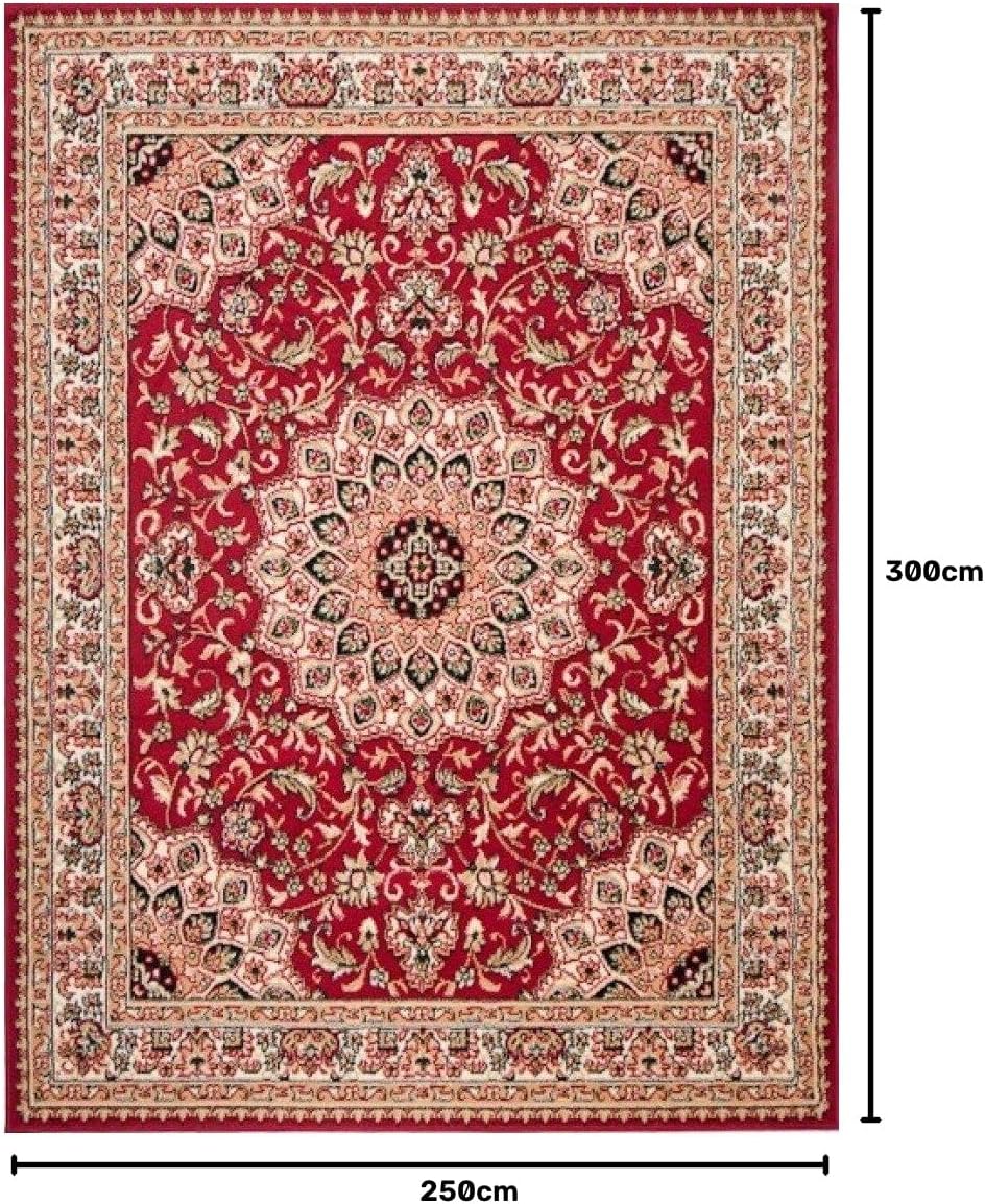 Mazovia Grand Tapis Salon 250x300cm Rouge Oriental Traditionnel Doux 250 x 300 cm Rouge / F740a-red