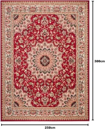 Mazovia Grand Tapis Salon 250x300cm Rouge Oriental Traditionnel Doux 250 x 300 cm Rouge / F740a-red