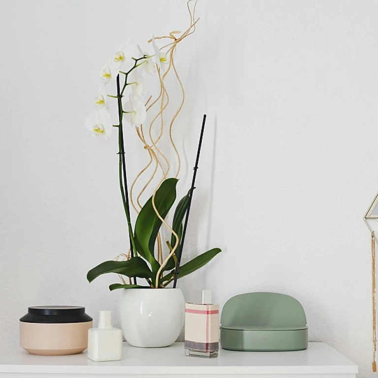 Optez pour un plateau en marbre sur mesure pour votre table