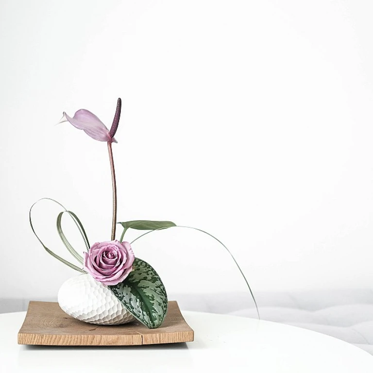 L'art de la décoration avec le bois de cade