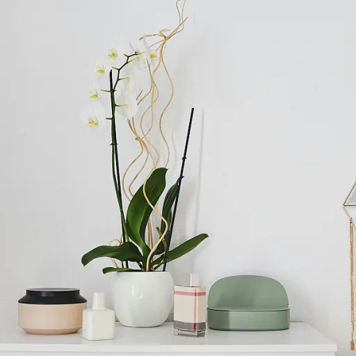 Comment intégrer un lit marocain dans votre décoration intérieure