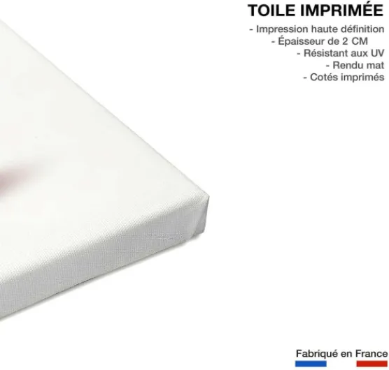 51bWXJ7T CL._AC_SL1200_