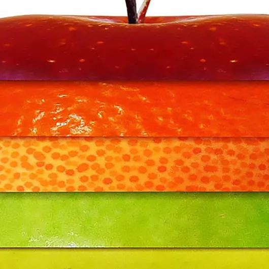 61Q 583G8EL._AC_SL1200_