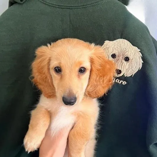 Sweat brodé personnalisé avec portrait d'animal de compagnie, portrait de chien personnalisé et nom sweat-shirt, chemise personnalisée pour la fête des mères, Noël, anniversaire commémoratif