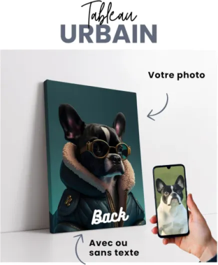 Triangle Déco Tableau animaux personnalisé, Votre chien ou votre chat, Affiche animaux habillé, Toile tableau animaux costume, Cadeau personnalisé Femme Homme Mamie anniversaire rigolo (Urbain)