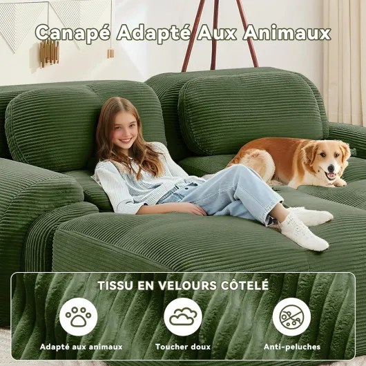 81Tm82iaT2L._AC_SL1500_
