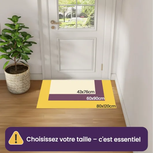 Paillasson 80 x 120 cm, Tapis d Entrée Intérieur Antidérapant et Absorbant, Profil Bas, Facile à Nettoyer, pour Couloir, Porte, Cuisine, Beige 80 x 120 cm Beige