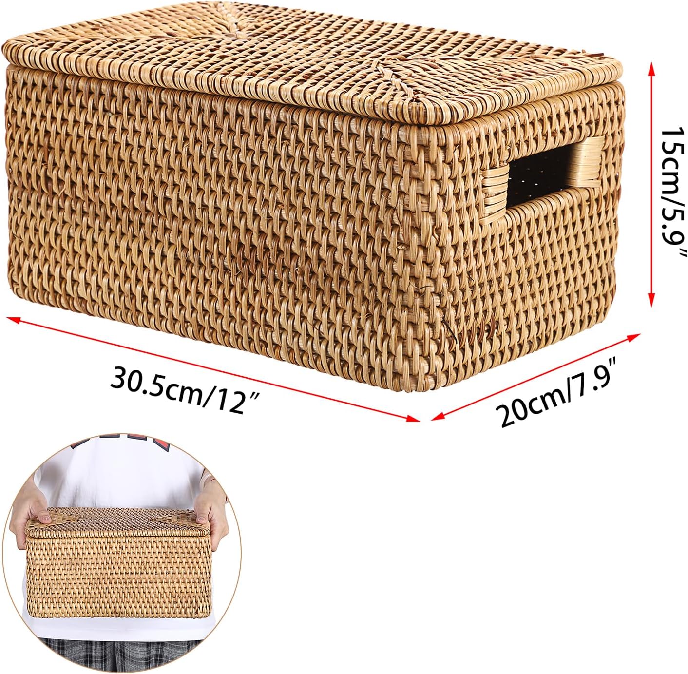 SUMTree panier de rangement en rotin panier avec couvercle boîte décorative organisateur avec poignées pour étagère, placard de cuisine, bureau (30x20x15cm)