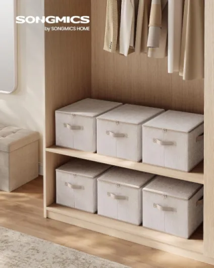 Boîte de Rangement, Pliable, avec Couvercle, Poignées, Coffre, Panier, pour Vêtements, Chaussres, en Tissu Non-tissé, Lot de 6, 40 x 30 x 25 cm, Beige Sable RZB003K02 Lot de 6 (40 x 30 x 25 cm) Beige Sable