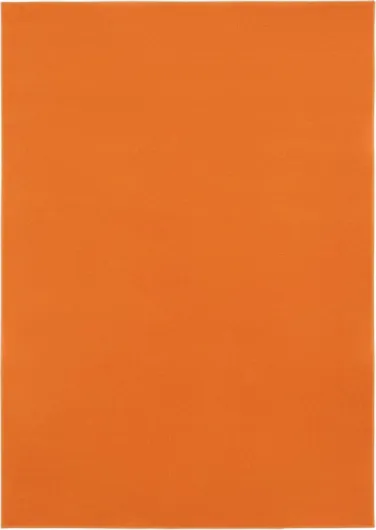 Mono Tapis Poil Court Intérieur Design Moderne Orange Motif Uni Tapis Salon Chambre Adulte Salle à Manger Cuisine Résistant Extérieur Oeko-TEX 200 x 300 cm Orange 200 x 300 cm