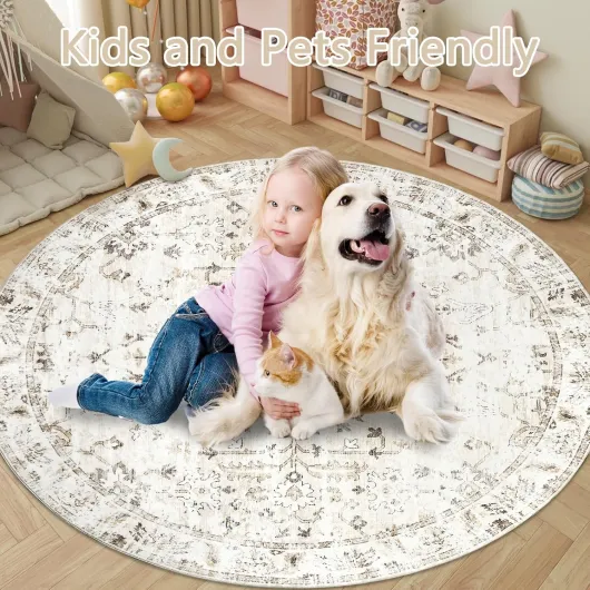 81IqDYoFd L._AC_SL1500_