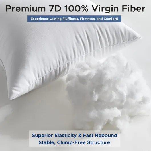 8185cb2nV8L._AC_SL1500_