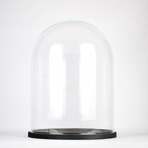 EMH Grande cloche en verre transparent faite à la main avec base en bois noir 30 x 25 cm