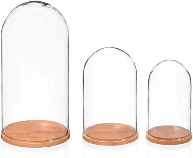 Grande cloche en verre avec base en hêtre naturel - Hauteur 40 x 15 cm