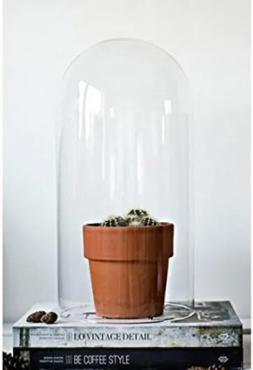 EMH Cloche en verre - Bocal d’exposition Grand format - 40 cm