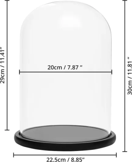 Cloche en Verre avec Socle en Bois Noir - 30 cm - Cloche en Verre Décorative Transparente avec Plateau en Bois pour Lumières, Décorations de Table, Antiquités