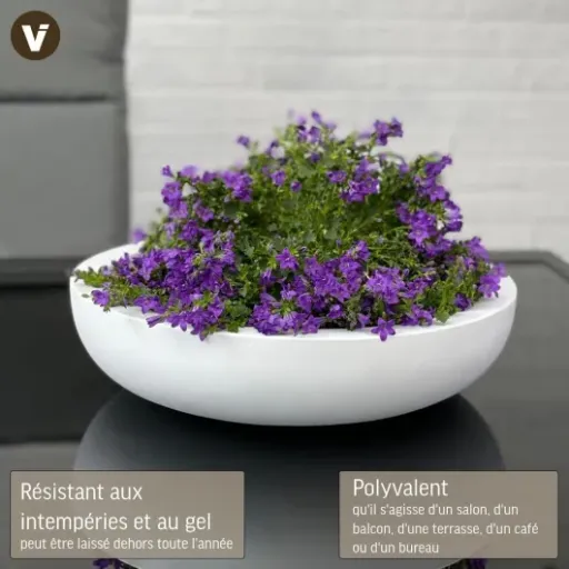Test VIVANNO Coupe à Fleurs Plana 11x43 : belle vasque déco mais pas sans défauts
