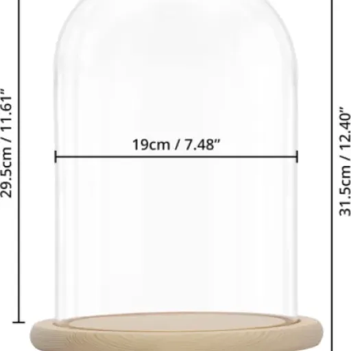 Test Belle Vous Cloche en Verre 31,5 cm : la grosse cloche déco qui fait le job sans chichi