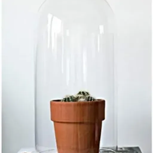 Test EMH Cloche en verre 40 cm : une grosse cloche simple qui fait le job pour la déco