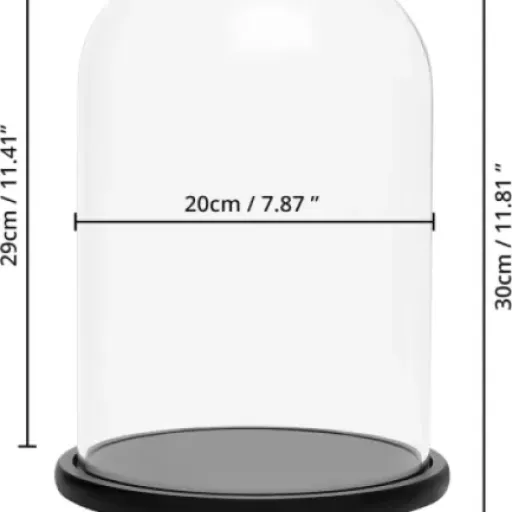 Test BELLE VOUS Cloche en Verre 30 cm : une cloche simple qui fait le job pour la déco