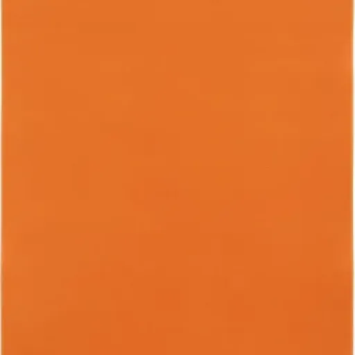 Test TAPISO Mono 200x300 : le grand tapis orange qui fait le job sans chichi