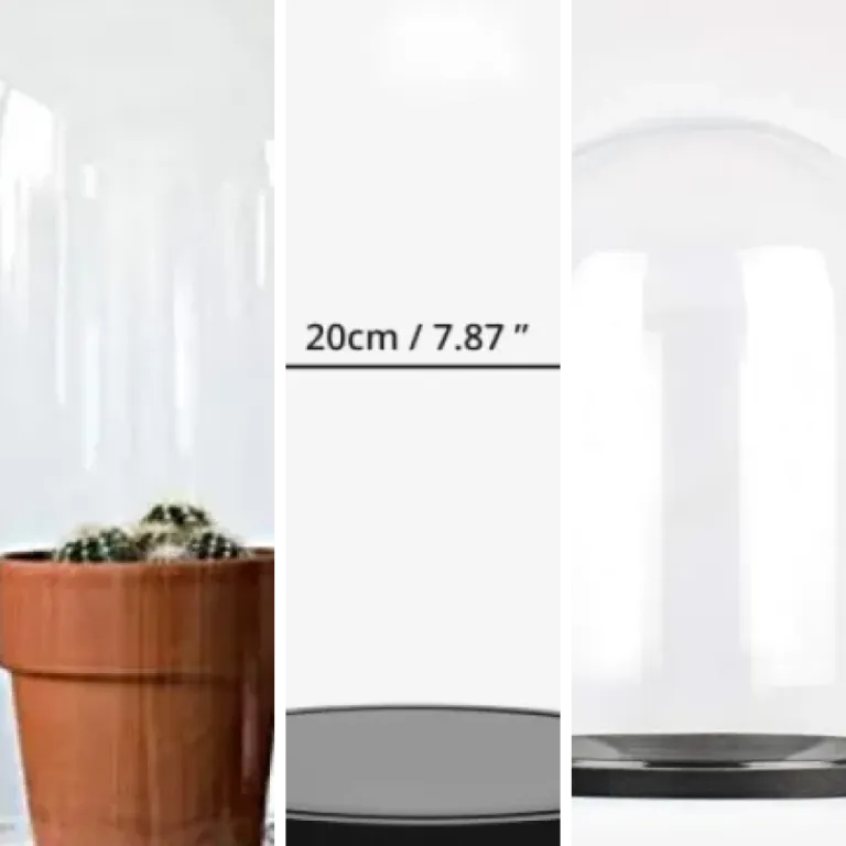 Top 5 : meilleurs cloches à bougie décoratives (2026)